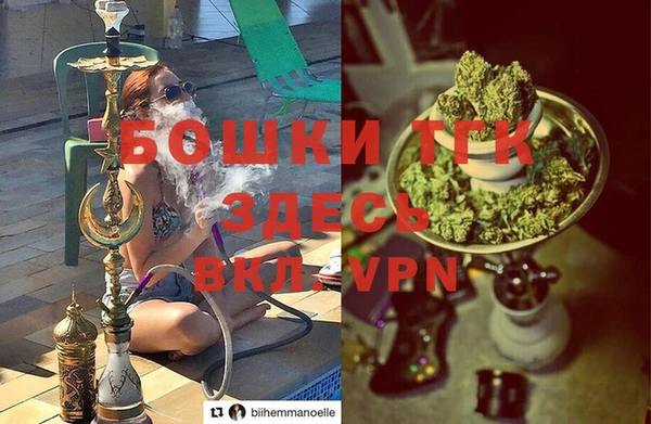 шишки Зерноград