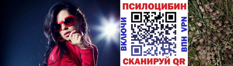 Купить  Ростов-на-Дону  Галлюциногенные грибы Magic Shrooms 
